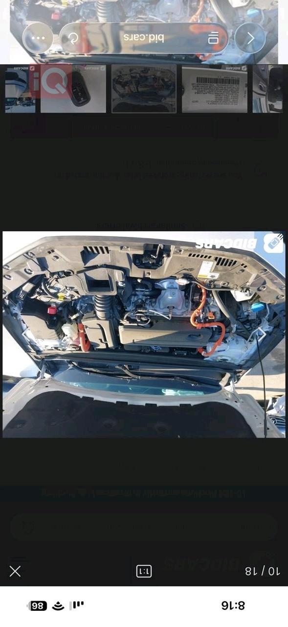 هوندا أكورد